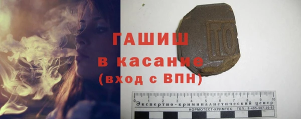 индика Алзамай