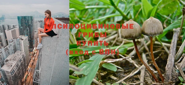 МДПВ Алексеевка