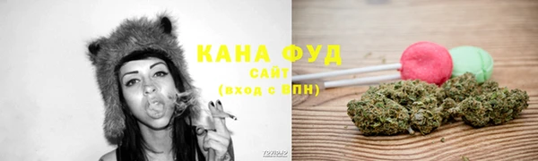 индика Алзамай
