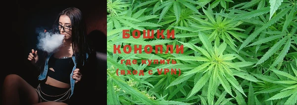 ГАЛЛЮЦИНОГЕННЫЕ ГРИБЫ Алексин