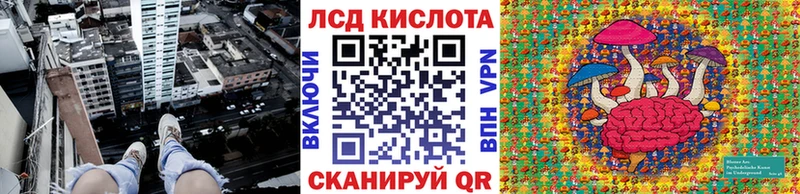 где продают наркотики  Елизаветинская  Марки N-bome 1,8мг 