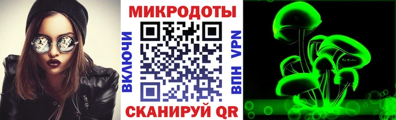 omg зеркало  Елизаветинская  Псилоцибиновые грибы Magic Shrooms 